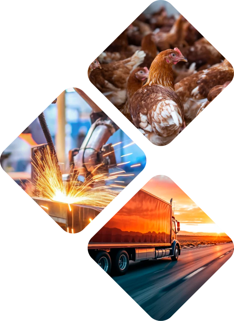 entreprise marocaine de transport et logistique SW Holding